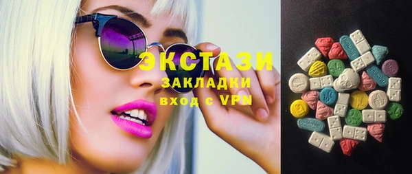 индика Мегион