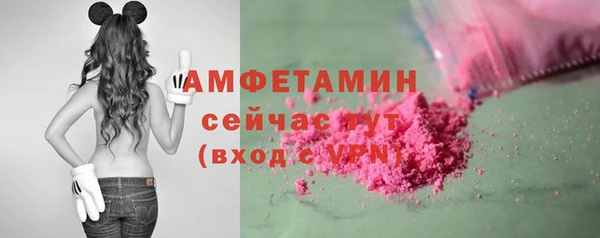 индика Мегион