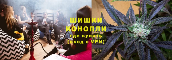 индика Мегион