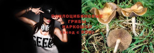 бошки Медвежьегорск