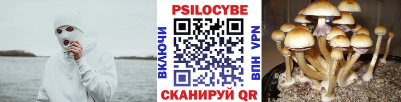Галлюциногенные грибы мухоморы  Петропавловск-Камчатский 