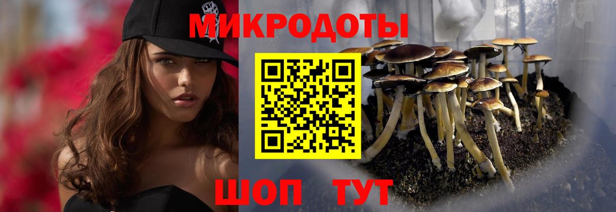 Галлюциногенные грибы MAGIC MUSHROOMS Петропавловск-Камчатский