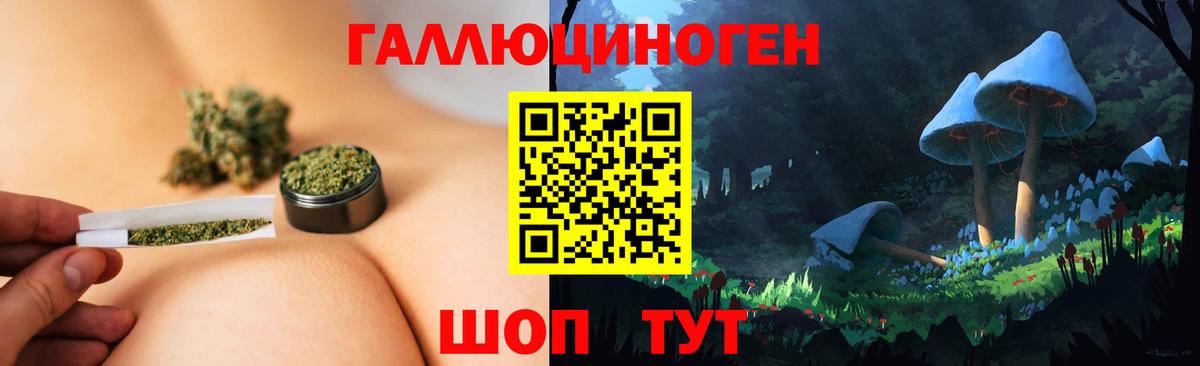 Псилоцибиновые грибы GOLDEN TEACHER  Вход с VPN  Петропавловск-Камчатский 